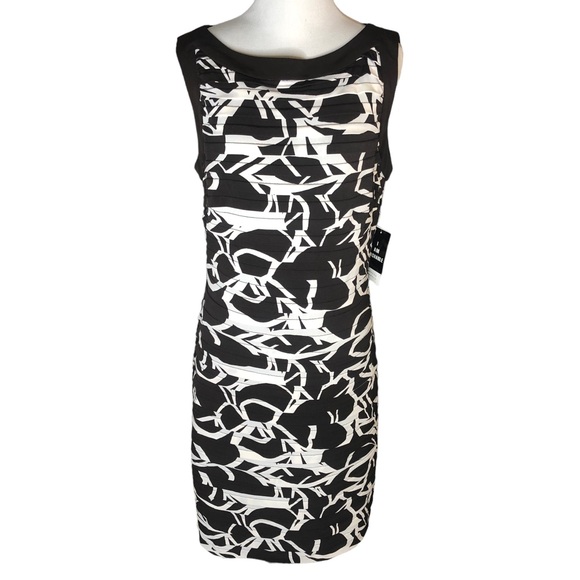 Beautiful New Sandra Darren Brown and White pleated dress Sz 10 - Picture 1 of 7